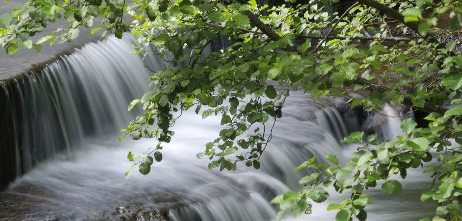 Waterfall, couze Pavin © Michelle Baron