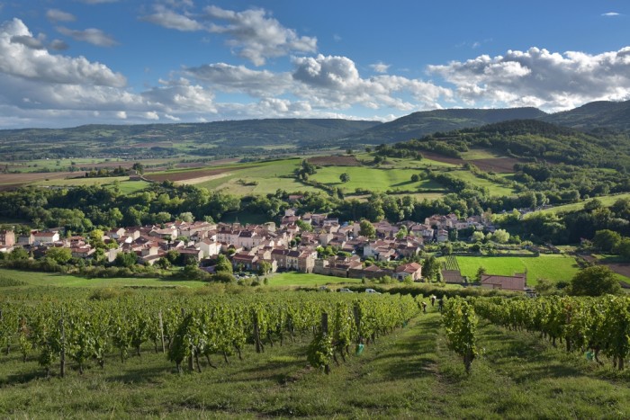 Vineyard of Boudes