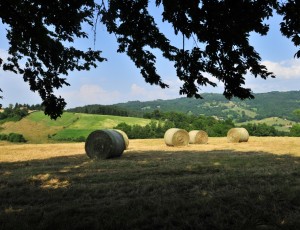 Sugères, Regional Nature Park of Livradois-Forez