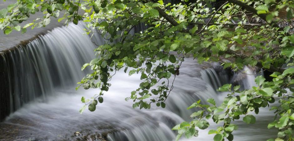 Cascade, couze Pavin © Michelle Baron