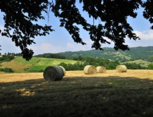 Sugères, Parc Naturel Régional du Livradois-Forez