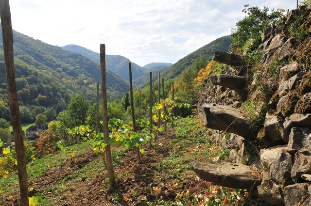 Réaménagement des pailhats ou terrasse, à Courgoul