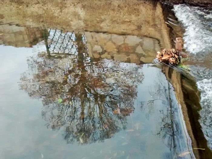 reflet dans le bief de la rue de Barrière