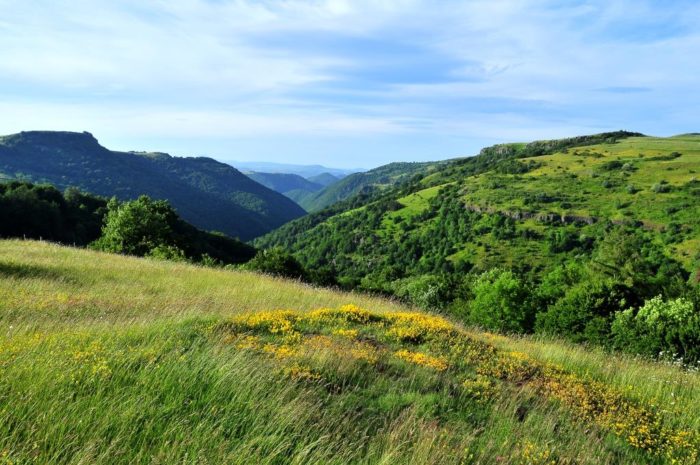 Paysages au départ de la randonnée de Roches Charles, dans le Cézallier en Auvergne