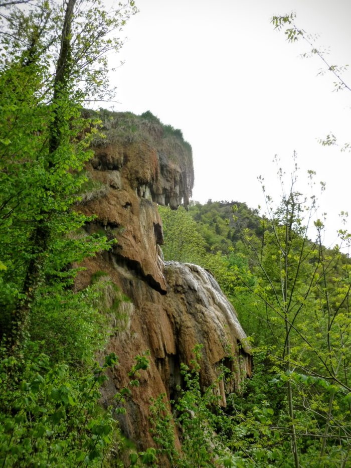 Travertin de la source de la tête de lion, sources salées d'Auvergne
