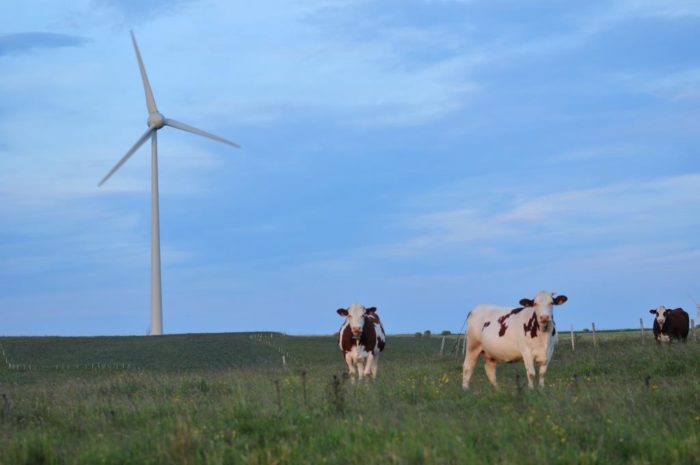 Eoliennes sur le plateau de Roches-Charle-La-Mayrand dans le Cézallier