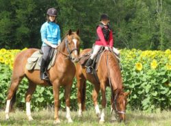 activité équestre au centre du Montcelet à saint-Gervazy