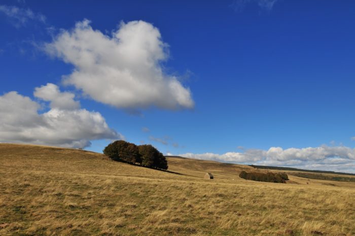 plateaux du Cézallier, autour d'Anzat-le-luguet, Auvergne