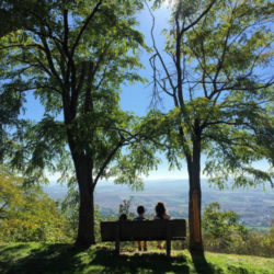 Vue depuis les orgues d'Usson