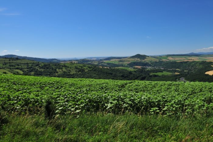 Vue depuis le village d'Yronde et Buron