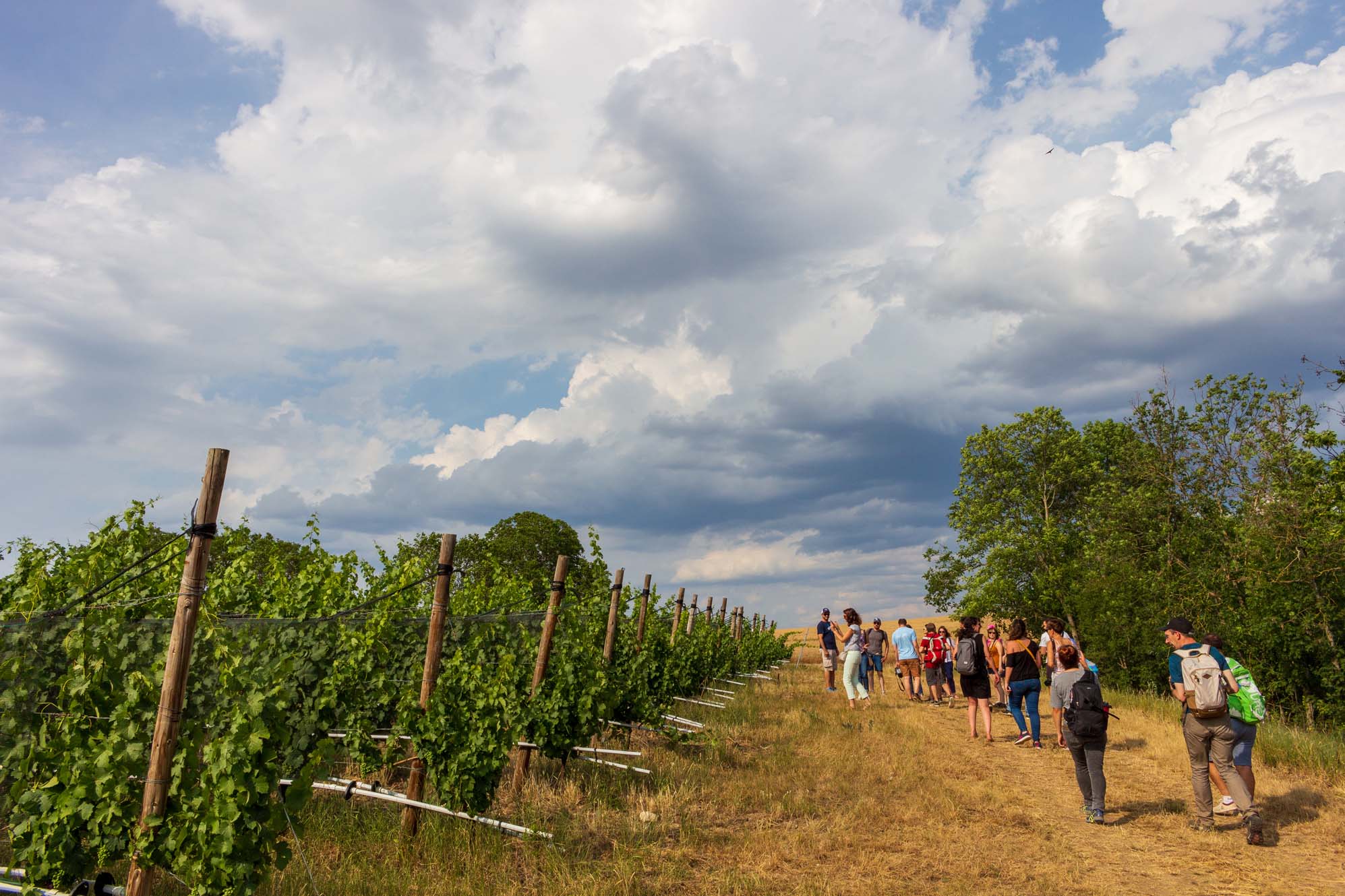 Domaine Miolanne Neschers / instameet Pays d'Issoire