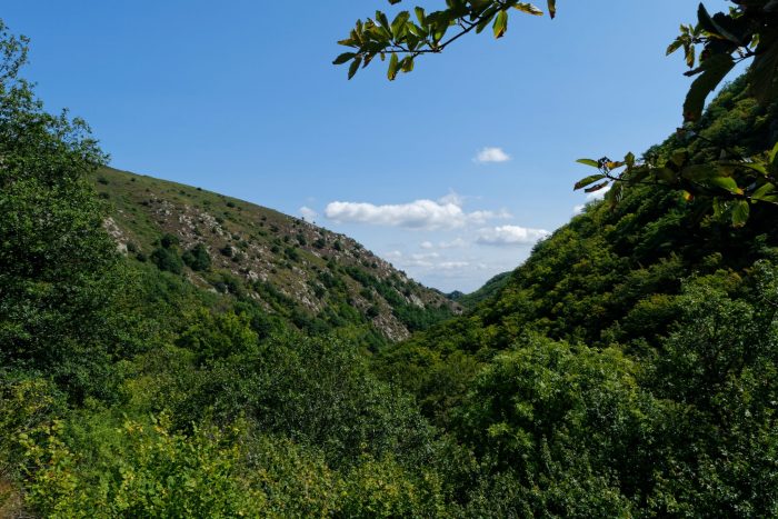 Les gorges de Leyvaux, cantal