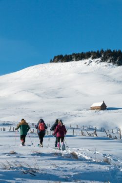 rando raquettes cézallier