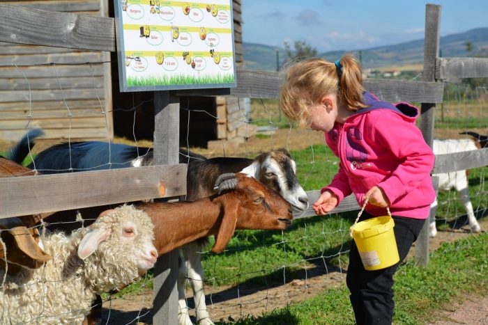 Atelier Petit Fermier