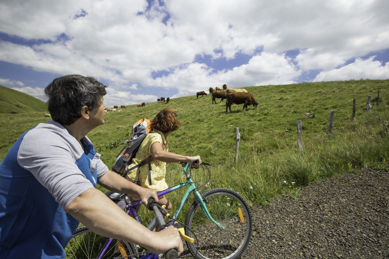 VTT +vaches Cézallier