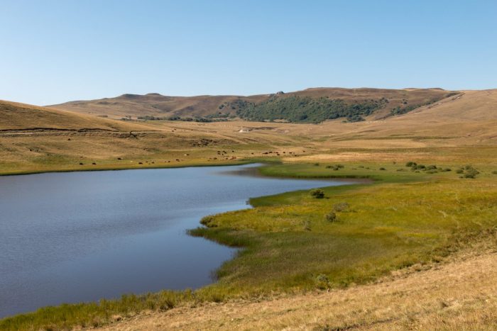 Lac de Roche Orcine