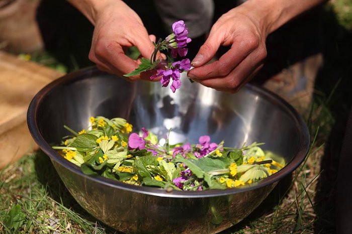 Salade de plantes sauvages