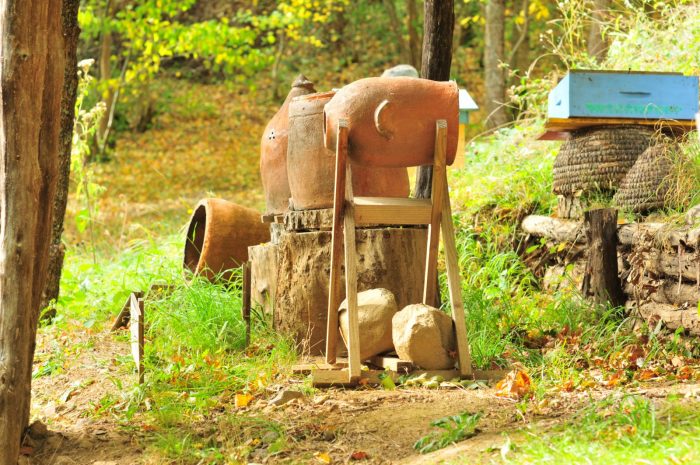 Rucher pédagogique des Pailhats de Courgoul