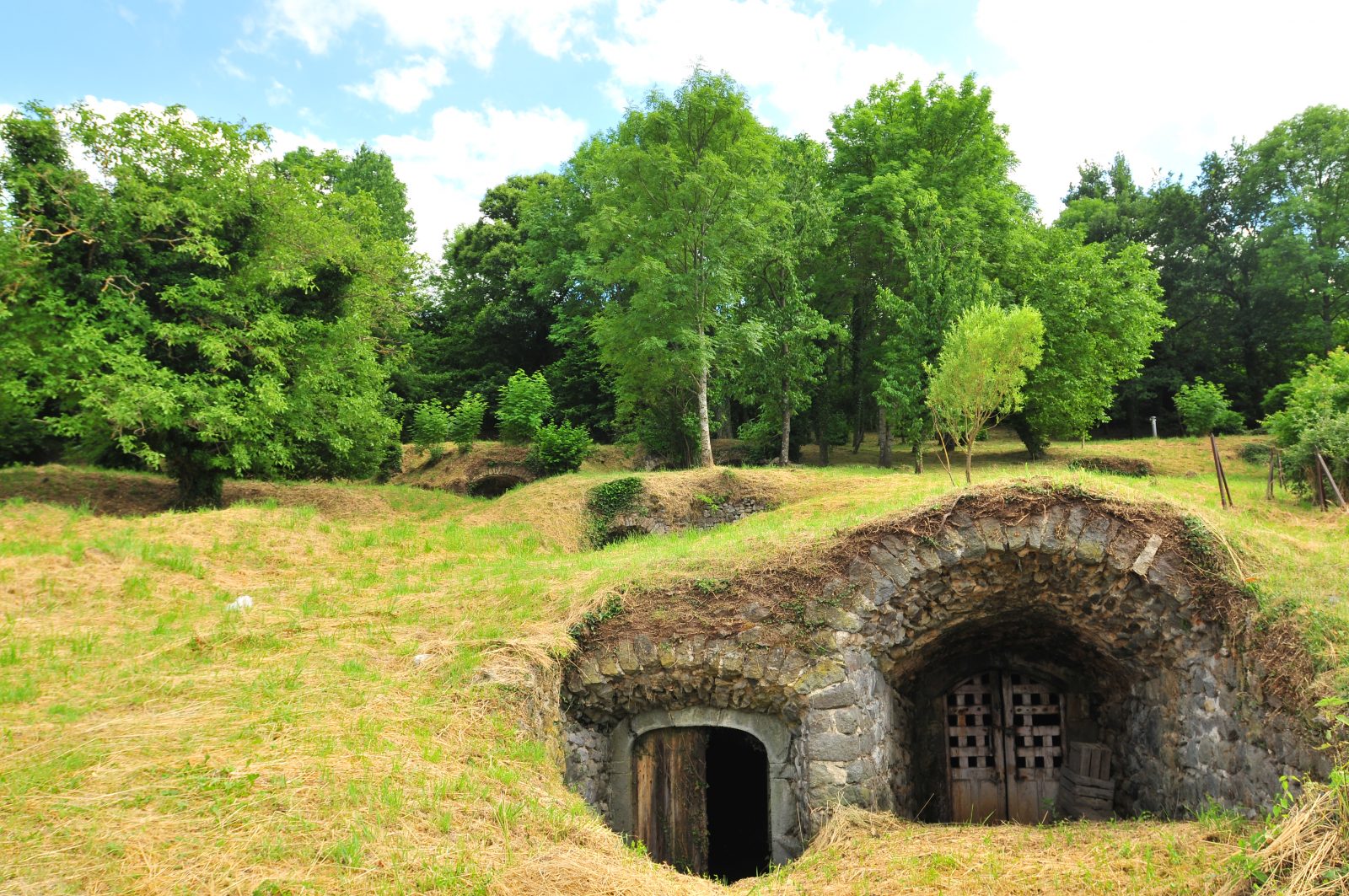 Le site des 140 caves de Saint-Julien