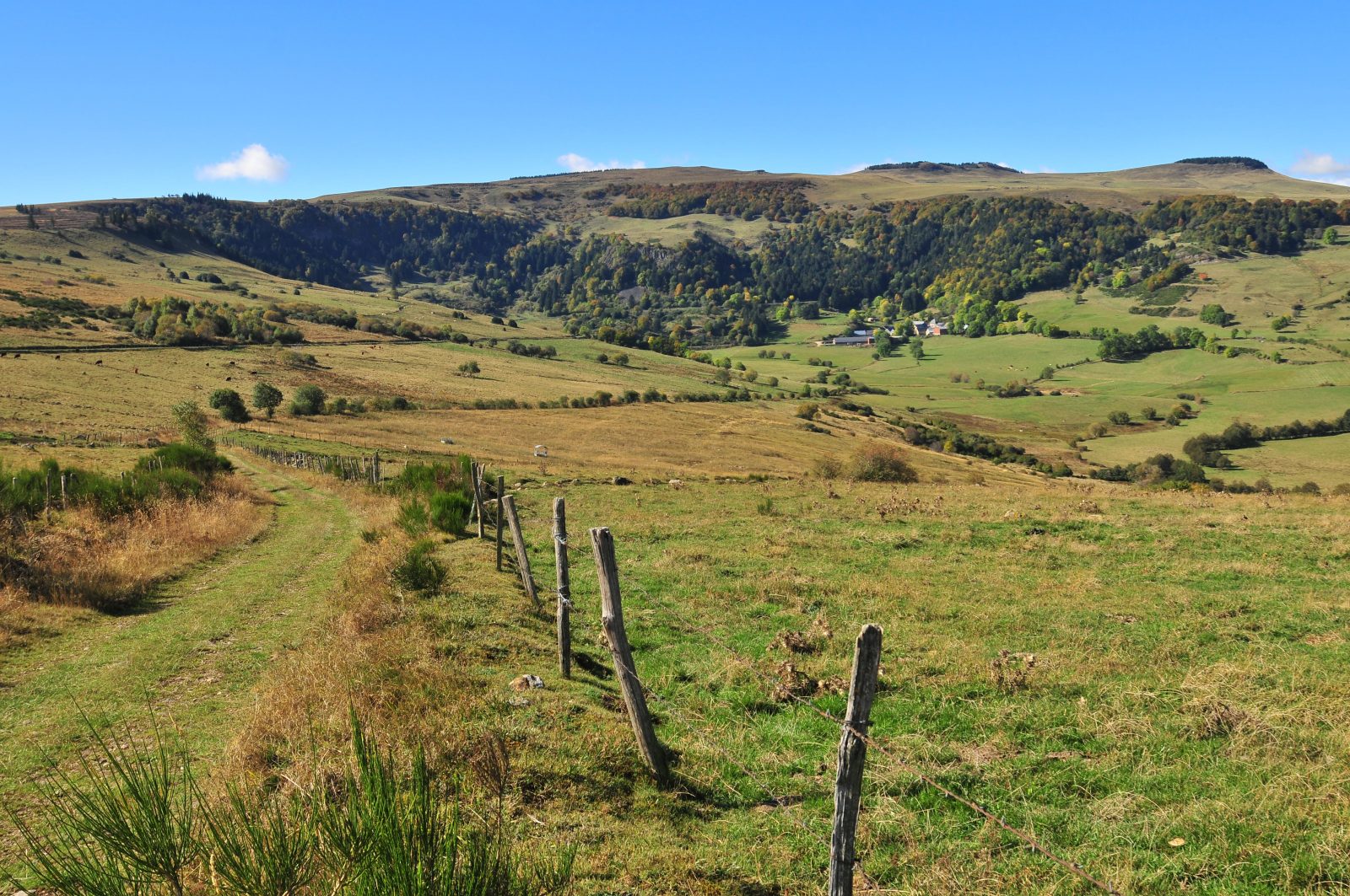 Anzat-le-Luguet – Signal du Luguet